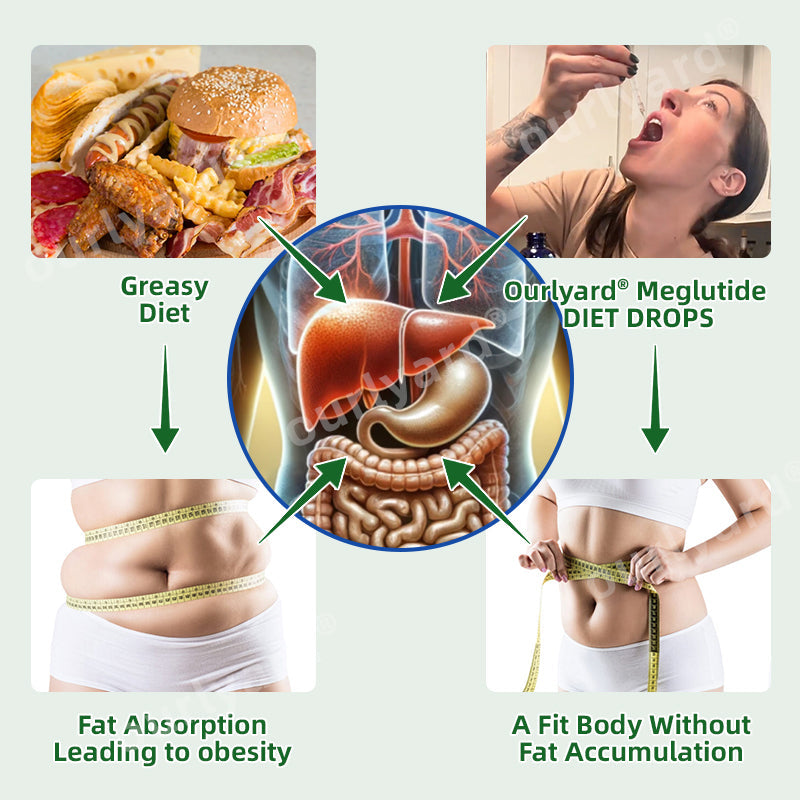 Ourlyardยฎ Meglutide Diet Drops - Made & Shipped From the USA